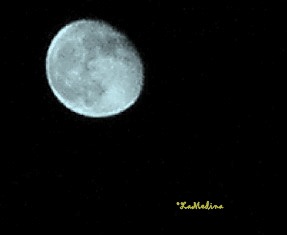 PeryLunaCristal 041 PeryLunaCristal 041