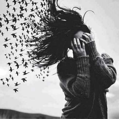 pajaritos1236188_4664536391010_621311963_n