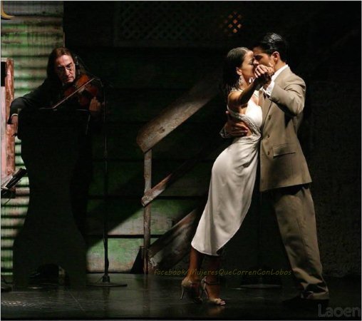 Mujeres que corren con lobos